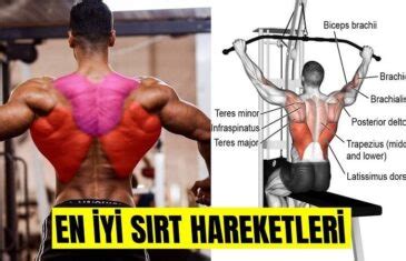 S Rt Hareketleri Egzersizleri Fitnessandbeast