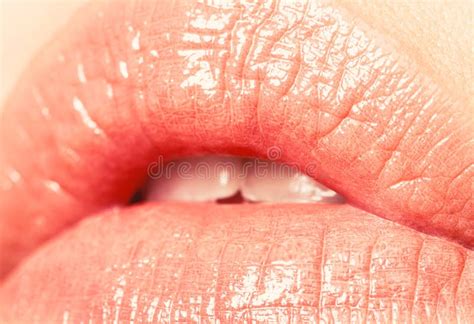 Close Up Beautiful Lips Plump Lips Nude Lipstick Close Up Perfect Natural Lip Makeup Beautiful