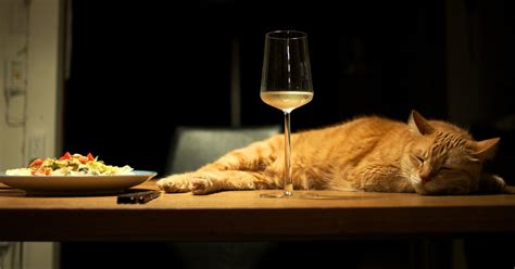 So Thats Why You Get Sleepy After Eating A Big Meal Huffpost Life