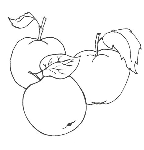Раскраски Яблоко - распечатать бесплатно