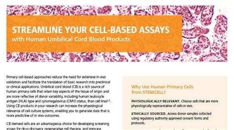 Human Cord Blood Products Overview Flyer