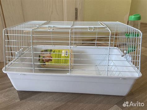 Клетка для кролика с поилкой большая купить в Ульяновске | Животные и ...