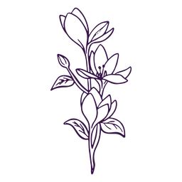 simple flower  drawing