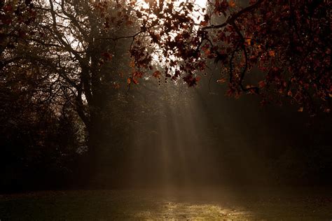 Park Sunlight Photograph By Dawn Oconnor Fine Art America