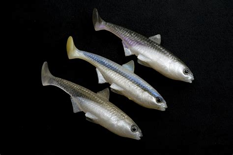 NEW ROACH R 10.5cm | 4" | 3COLOR SET 3 PIECES - NAPRIVLAC.SK / TOMY´S ...