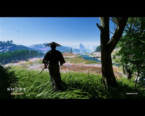 Дата выхода Ghost of Tsushima на ПК – когда выйдет Призрак Цусимы