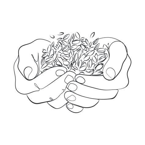 Wheat Grains In Human Palms Line Art Drawingvector Illustrationfarmer