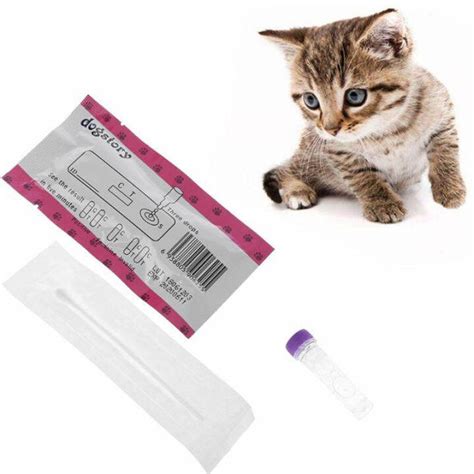 Cumarba Cat Test Paper Home Health Detection For Feline Panleukopenia