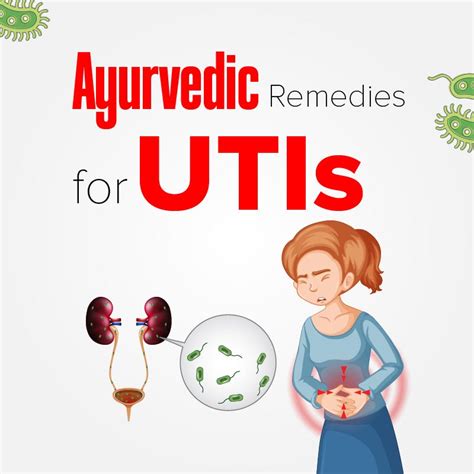 Ayurvedic Remedies For Utis Are You Tired Of Recurrent Urinary By