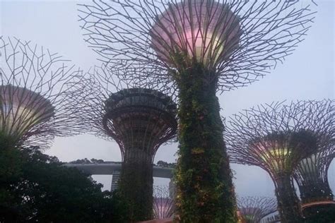 Private Full Day Singapore Highlights Tour Triphobo