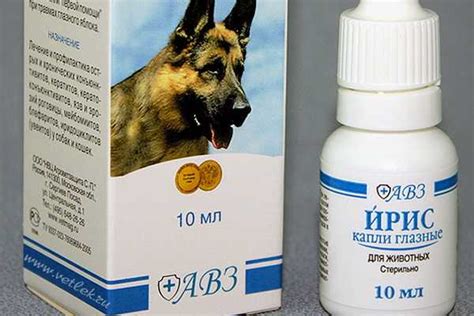 Глазные капли для кошек: бриллиантовые глаза, ирис, ципровет, барс и ...