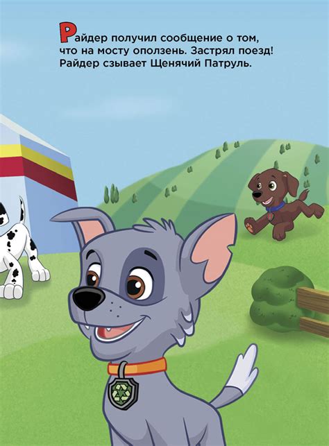 Щенячий Патруль. Рокки и Крепыш