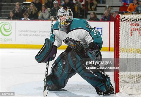 Cincinnati Mighty Ducks Photos And Premium High Res Pictures Getty Images