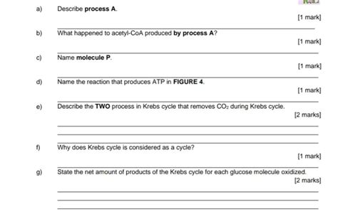 Solved KOL 3. FIGURE 3 shows an enzyme activity in a | Chegg.com