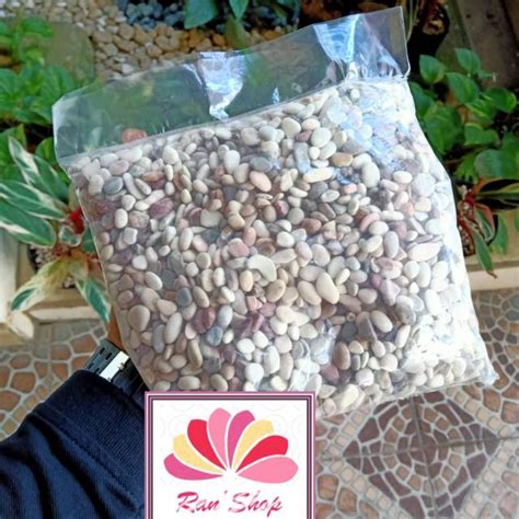 Jual Karung Batu Hias Taman Dan Aquarium Koral Kecil 1kg Shopee Indonesia
