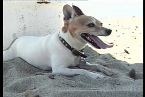 The Unforgettable X Vol Free Asshole Closeup Porn Video XHamster