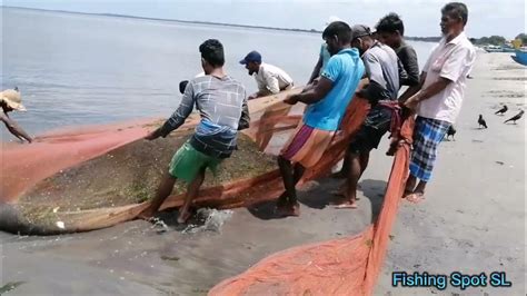 Beach Siene Fishing 🐠🐟 At Kinniya Beach🌊 Area Youtube