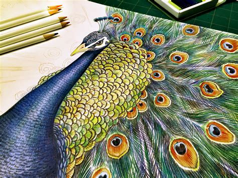 Introducing Tim Jeffs Tombows New Feature Artist Tombow Usa Blog