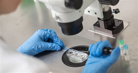 Years Ago Scientists Took Baby Steps Toward Selecting Sex