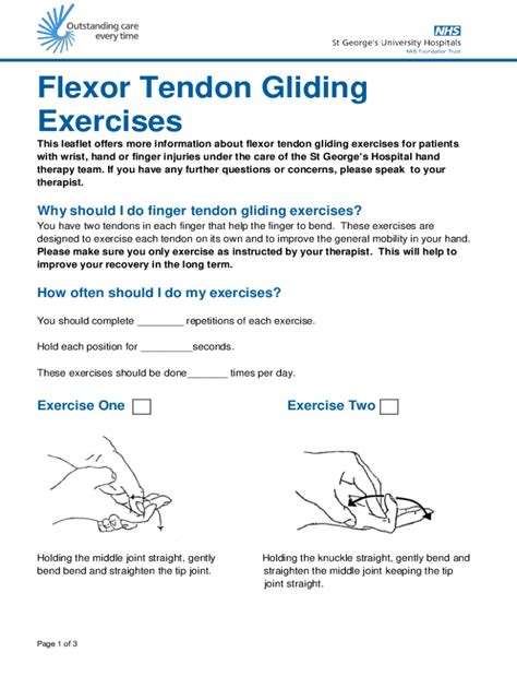 Fillable Online Flexor Tendon Gliding Exercises St Georges Hospital