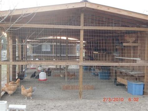 El Naked Necks Chicken Coop BackYard Chickens Learn How To Raise Chickens