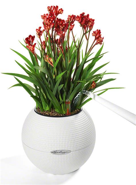LECHUZA-PURO Color 20 white All-in-One Set