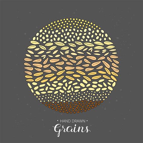 Premium Vector Hand Drawn Cereal Grains Composed In Circle Shape On