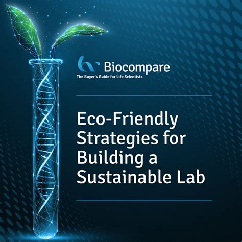 Eco Friendly Strategies For Building A Sustainable Lab