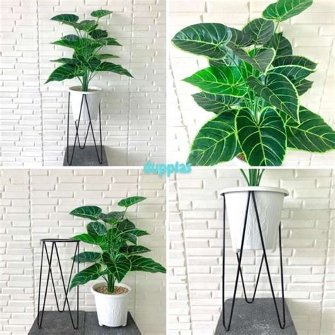 Jual Pohon Hias Daun Alocasia X18 Latex Pot Tulip Plastik Standing T50