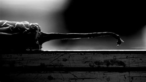 Chilli Porn The Chilli King