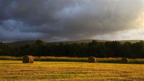 What's the Weather? - Delaware Highlands Conservancy