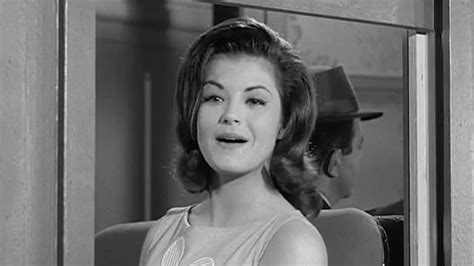 Watch Petticoat Junction Streaming Online | Tubi Free TV