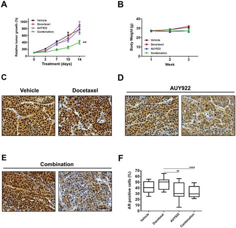 Combination Of Auy And Docetaxel Result In Increased Anti Tumor