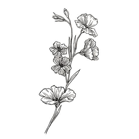 Black White Botanical Collection Anna Farba Illustration