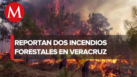 Registran Dos Incendios Forestales En El Parque Cofre De Perote