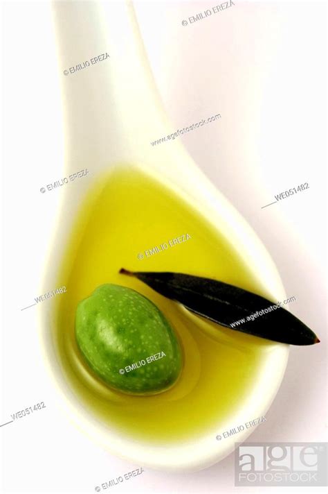 Olive oil (Olea europaea), Stock Photo, Picture And Royalty Free Image ...