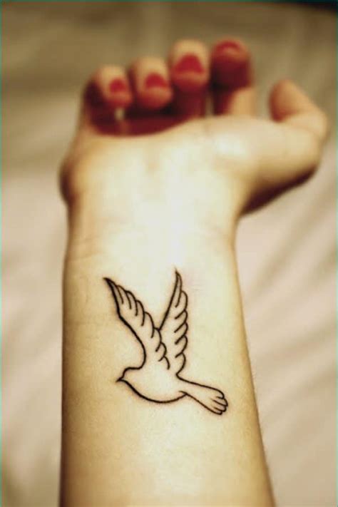 Dove Drawings For Tattoos