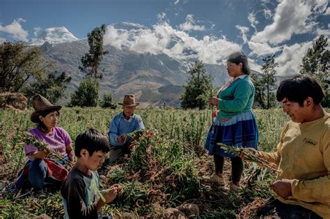 A Lifetime in Peru’s Glaciers, Slowly Melting Away - The New York Times