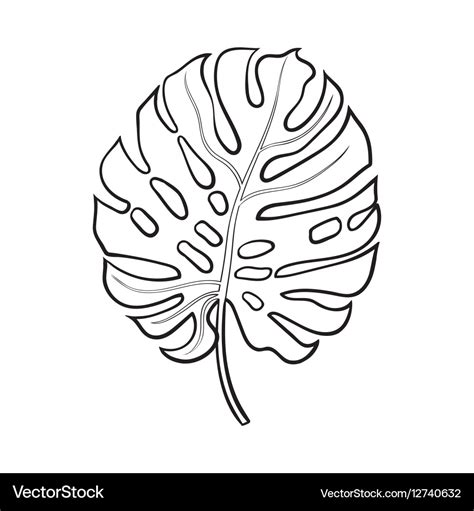 Outline Monstera Leaf Svg Free