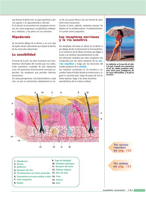 Anatom A Y Fisiolog A Del Cuerpo Humano By Maria Cristina Velasquez