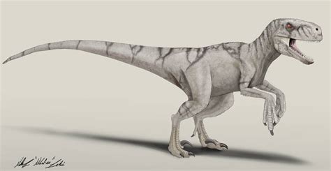 Explore The Best Atrociraptor Art Deviantart