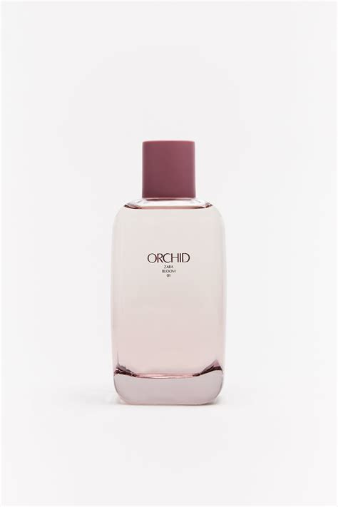 Perfume Orchid Zara | atelier-yuwa.ciao.jp