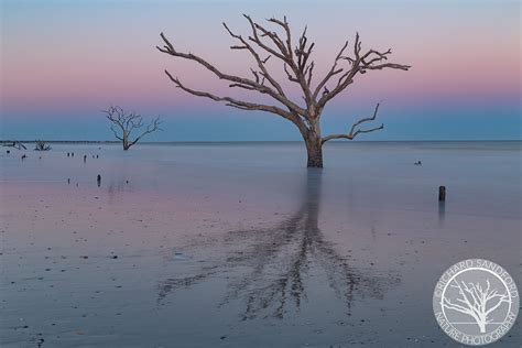 Botany Bay Twilight - Fine Art Nature Photography