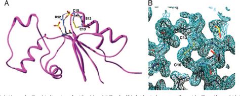 Figure 2 From Crystal Structure Of The Bacillus Subtilis Anti Alpha Global Transcriptional