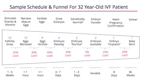 Ivf Follicle Size Growth Chart - Best Picture Of Chart Anyimage.Org