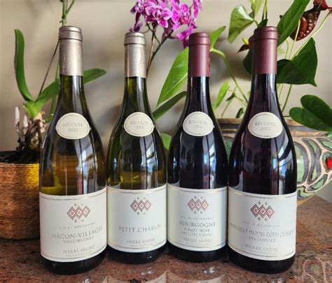 Vinho Bom Custo Beneficio - Sim, existe Borgonha com bom custo-benefício – Tommasi no Vinho