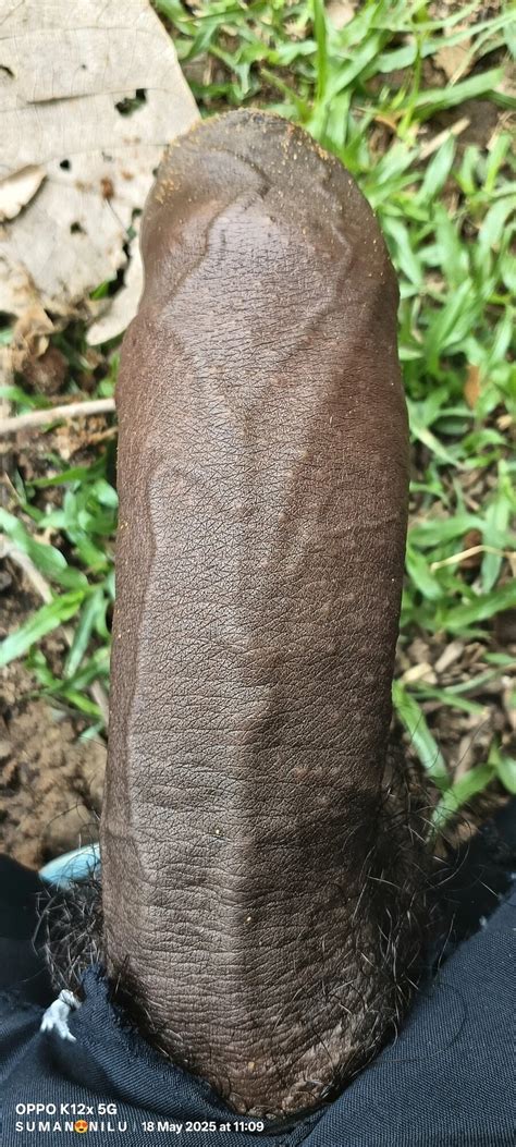 XxX Nude Pics XHamster