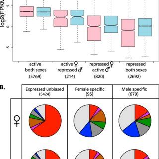 The Sex Specific Chromatin Landscape In D Miranda And Transitions In