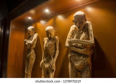 28 Museum Mummies Guanajuato Images, Stock Photos & Vectors | Shutterstock