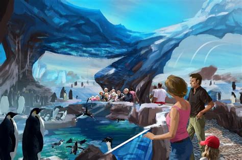 Seaworld Orlando Revela Novas Imagens Da Antarctica Empire Of The Penguin